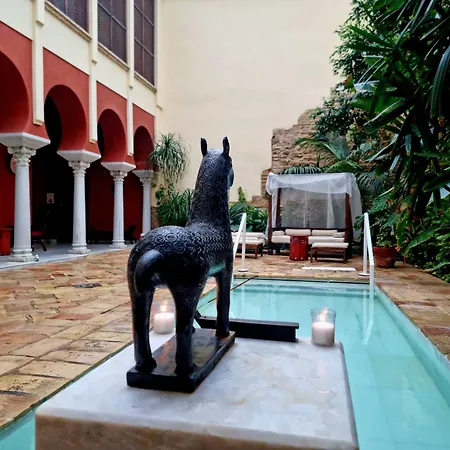 Hotel Hospederia Banos Arabes De Dos Cordova